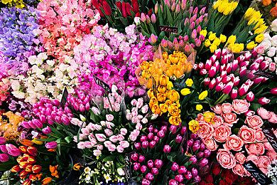 二战RTS《突袭5》正式官宣 2026年登陆多平台