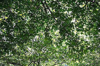 《光与影：33号远征队》超高画质MOD发布 修复DLSS 4带来的一些视觉问题